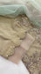 AISHA - Tan/Light Brown 3 Piece Heavy Embroidered Net Suit with Ombré Net Dupatta